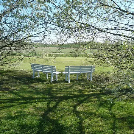 Alojamento de Acomodação e Pequeno-almoço Corte Bertoia 3*