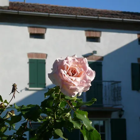 Corte Bertoia 3* San Siro (Lombardy)